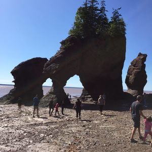 Meet your Posher, Abbie